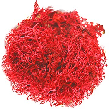 YUGHGH Weidenherz Groß Topfpflanzen Gartendekoration unsterblich natürliches trockenes Moos Hochzeit Pflanze Handwerk floraler Hintergrund Dekoration Moos unsterblich gefälschte (H, One Size)