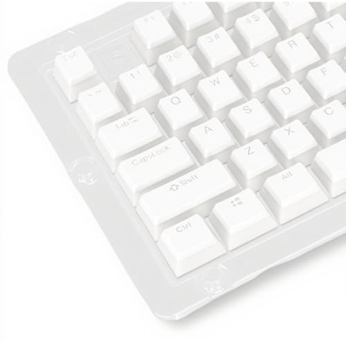 PBT Pudding Tastenkappen, 108 Tasten Doppelschicht Transluzent, Universelle Keycaps für 61 87 104 108 Tasten Mechanische Tastatur