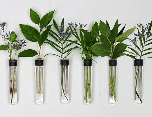TWILG Magnetische Anzuchtstation zum Aufhängen an der Wand, 6 Stück, schwarzes Leder umwickeltes Reagenzglas-Vasen-Set, moderne Heim- und Bürodekoration, Hydrokultur-Pflanzenhalter, inklusive