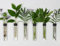TWILG - Reagenzgläser für Blumen mit schwarzem Leder und Wandmagnet - 6er Set - Blumenvase, Magnet vase, Reagenzgläser mit Ständer, Reagenzglas vase Wand, Magnetische vase