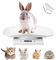 Digitale Haustierwaage, elektronische LCD-Waage für kleine Tiere, mit Maßband, Multifunktions-Küche, Badezimmer, Gewichtswaage genau messen max 10 kg