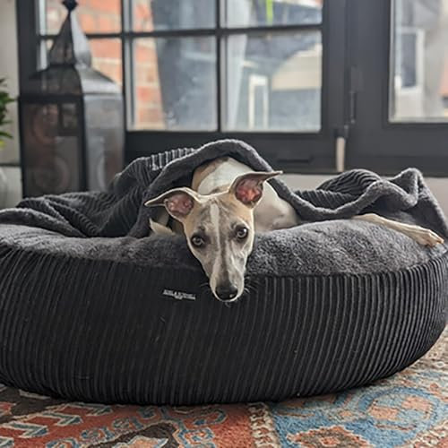 EDEL&SCHNELL Hundebett Wechselbezug dunkelgrau 65 cm Ersatz Bezug Hundebett Flocke Bezüge für Hundebetten aus weichem Baumwoll Cord-Stoff