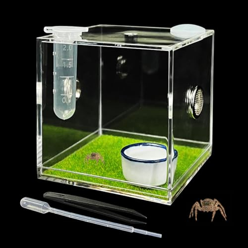 GKPONSX Spinnengehege aus Acryl, Spinnen-Terrarium, Zubehör mit Schalen, Zange, Dropper für Schnecke, Tarantel, Skorpion, betende Mantis, Isopoden, Insekten