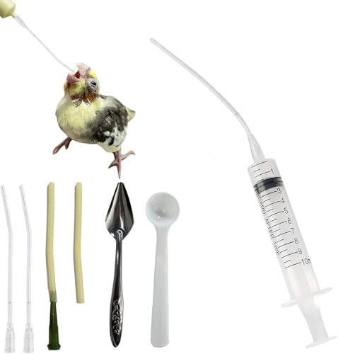 Tuyau d'alimentation pour jeunes oiseaux - Comprend une seringue de 10 ml avec tuyau, accessoires pour pigeons - Outil d'alimentation à la main pour bébés oiseaux et perroquets, lait, eau, médicaments