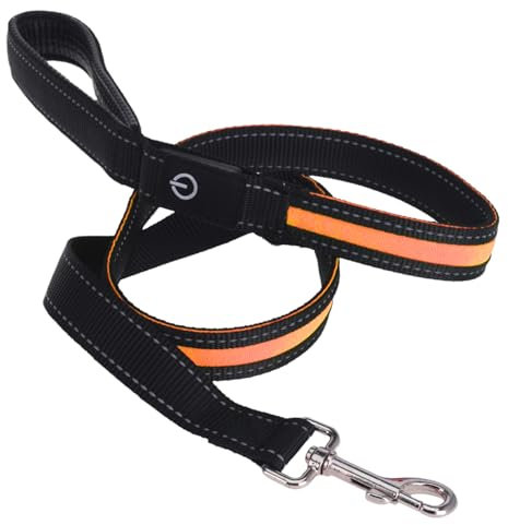 Leuchtende LED Hundeleine mit gepolstertem Handgriff, 1.20 m x 25mm, für das tägliche Gassigehen auch im Dunkeln, passend für kleine und mittelgroße Hunde (Hundeleine, Neonorange)
