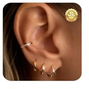 Kenivira Creolen Silber 925 Ohrringe für Damen 4 Paare Kleine Gold Hypoallergene Kleine Knorpel Creolen Ohrringe Set für Frauen Mädchen 6/8/10/12mm