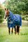 Horseware Amigo Ripstop 900D Plus 200g mit Halsteil Turnout Decke Navy/Titanium Grey Deckengröße:145 cm / 6´6