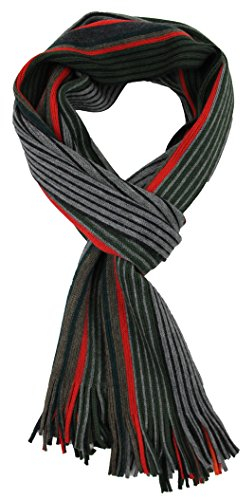 Rotfuchs Strickschal Herrenschal Unisex Wolle gestreift multi mehrfarbig (grün grau)