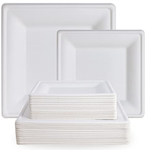 ECOLipak Paquete de 120 platos de papel compostables, 25,4 cm y 20,3 cm, resistentes, ecológicos, biodegradables, desechables, cuadrados, para fiestas, cenas, cumpleaños