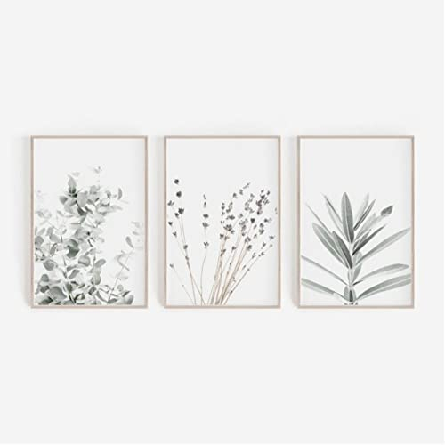 ZOYIEP 3er Poster Set Wohnzimmer - Bilder Deko Schlafzimmer - Lavendel Eukalyptus Pflanze Stilvolle Wandbilder - ohne Bilderrahmen (30 x 40 cm)