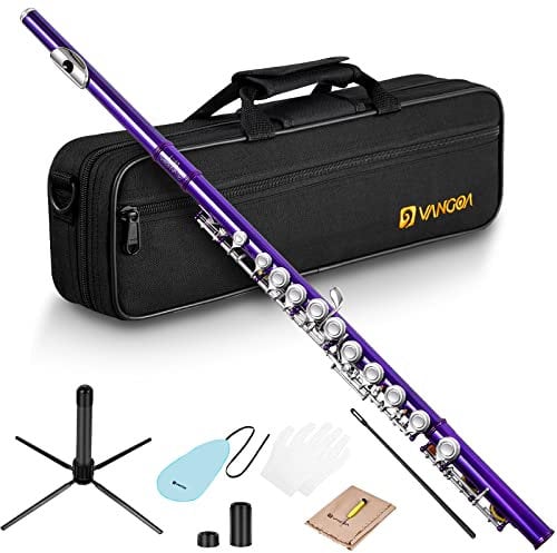 Vangoa Flûte Fermé Trou C Flûte 16 Touches avec étui rigide, support, tiges de nettoyage, gants et kit de nettoyage,Violet