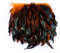 Raibertin Coque Rooster Hackle Feder Fransen Trim für Kostüm Handwerk Kleid Dekoration Schlappen Feder Trim Ribbon DIY Umhang Schal Rock Halloween Karneval Kleidung Nähen Dekor (Orange)