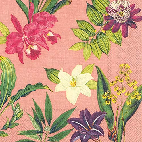 Boston International L849700 Lunch-Servietten, Papier, Blumen des Paradies Apricot, 6.5 x 6.5-Inches
