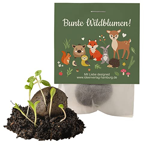 Ideenverlag HAMBURG 10x Waldtiere Samenbomben Kindergeburtstag/Waldtiere Mitgebsel Waldtieregeburtstag/Geschenke Samenbomben Mitbringsel/Saatbomben Kinder