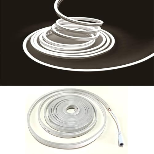 Balabaxer Weiß Neon-LED-Streifenlichter, 16,4 Fuß/5 m 16,4 Fuß/5 m 12 V DC 600 SMD2835 LEDs Wasserdichtes Lichtschlauch für Indoor Outdoor Home Decoration (ohne Antrieb)