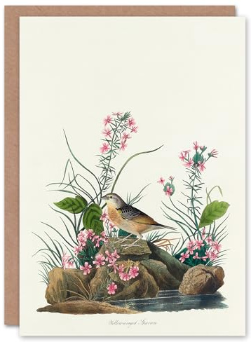 Artery8 John James Audubon Art Card Yellow Winged Sparrow