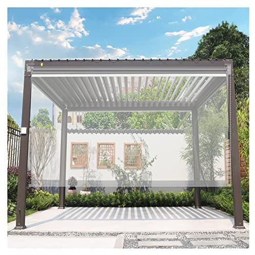 SHUITUKOUU Outdoor Clear Vinyl Roller Shades,Transparent Roller Blinds,HD Transparent Roll Up Curtain Waterproof Windproof,Suitable for pergola,pavilion,greenhouse,balcony,60x120cm/23.6x47.2in
