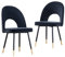 AINPECCA Lot de 2 chaises de salle à manger rembourrées en velours avec pieds en métal noir (noir et doré, 2)