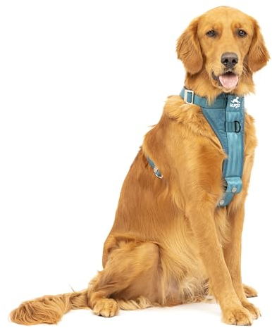 Kurgo TRU-Fit Hundegeschirr, Crash-Test-erprobtes Auto-Sicherheitsgurt, Für Hunde von 2 bis 5 kg, Größe L, Tinte Blau