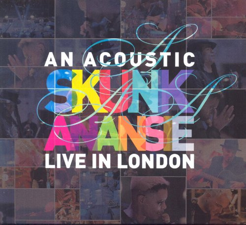 An Acoustic Skunk Anansie 1