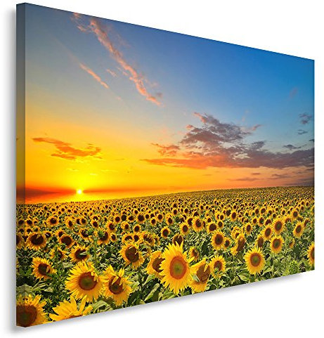 Feeby Quadro su Tela Fiori Girasole XXL 120x80 cm 1 pezzo Stampa Murale Fotografia Decorazione da parete Immagini Moderni per Soggiorno Camera da Letto Ufficio Cucina Cielo Natura Paesaggio Giallo