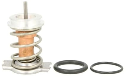 THERMOTEC Boîtier du thermostat Boîtier thermostat D28001TT avec thermostat