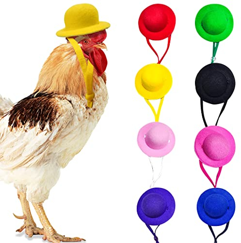 Rolin Roly 8PCS HühnerhelmVogelhut Kopfbedeckung Chicken Hats Hühnerhut Runder Kleiner Hut Mehrfarbiger Kleiner Haustierhut für Küken Vögel Schutzhelm (8Pcs Hats)