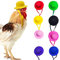 Rolin Roly 8PCS HühnerhelmVogelhut Kopfbedeckung Chicken Hats Hühnerhut Runder Kleiner Hut Mehrfarbiger Kleiner Haustierhut für Küken Vögel Schutzhelm (8Pcs Hats)