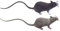 Ligeinsrk Fake Souris 2pcs 8x2 Pouces Faux Rat de Souris réaliste effrayante avec Une Longue Queue en Plastique PVC à Longue Queue pour des farces, des Jouets de Chat, décorations d'halloween