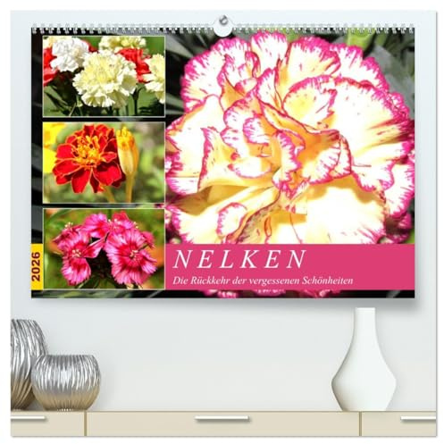 Nelken. Die Rückkehr der vergessenen Schönheiten (hochwertiger Premium Wandkalender 2026 DIN A2 quer), Kunstdruck in Hochglanz: Nelken duften ... blühen üppig und farbenfroh. (CALVENDO Natur)