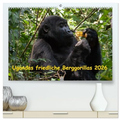 Ugandas friedliche Berggorillas (hochwertiger Premium Wandkalender 2026 DIN A2 quer), Kunstdruck in Hochglanz: Habinyanja Gorillafamilie im Urwald von Uganda (CALVENDO Tiere)