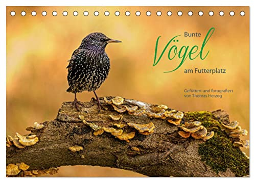 Bunte Vögel am Futterplatz (Tischkalender 2026 DIN A5 quer), CALVENDO Monatskalender: Singvögel an der Futterstelle (CALVENDO Tiere)