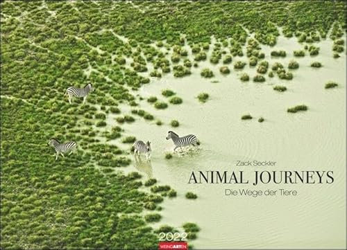 Animal Journeys - Die Wege der Tiere Kalender 2022 - großformatiger Tierkalender - Wandkalender mit internationalem Monatskalendarium - 12 Farbfotos - 68 x 49 cm