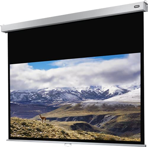 celexon Pro Plus Écran de Projection Manuel 70 | 160x90 cm 16:9 | Écran 4K, Full-HD Extensible manuellement pour Les présentations de Bureau et Le Home Cinéma | Montage Mural & au Plafond