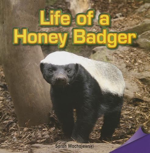 Life of a Honey Badger (Infomax Common Core Readers, 31)