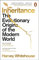 Inheritance: The Evolutionary Origins of the Modern World