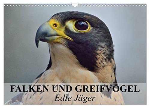 Falken und Greifvögel. Edle Jäger (Wandkalender 2025 DIN A3 quer), CALVENDO Monatskalender: Blitzschnelle und edle Jäger auch im Dienste der Menschen (CALVENDO Tiere)