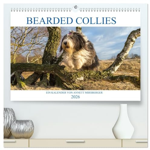 BEARDED COLLIES 2026 (hochwertiger Premium Wandkalender 2026 DIN A2 quer), Kunstdruck in Hochglanz: Liebenswerter und cleverer Hütehund (CALVENDO Tiere)