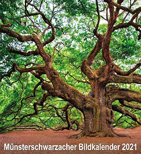 Münsterschwarzacher Bildkalender 2021 (Münsterschwarzacher Kalender)