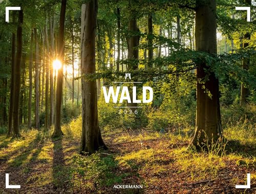 Wald Gallery Kalender 2026 | Geschmackvoller Natur-Kalender im großen Querformat (66x50 cm) | Wälder und Bäume im Großformat