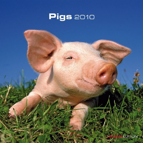 Schweine Kalender 2010 - Pigs
