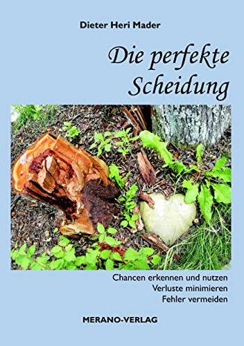 Die perfekte Scheidung: Chancen erkennen und nutzen - Verluste minimieren - Fehler vermeiden