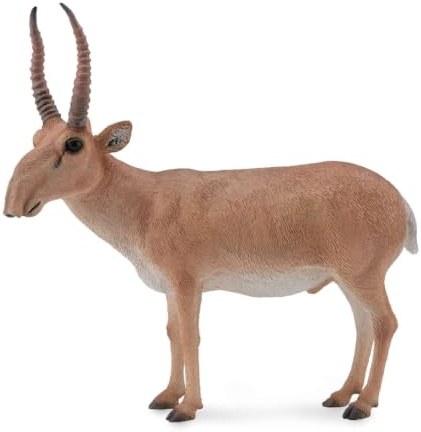 Collecta Suhak stepowy [FIGURKA]