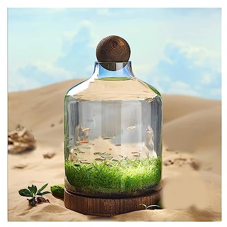 Aquariums décoratifs Bouteille en Verre for Aquarium, Culture écologique, Micro Paysage, Petit réservoir de Plantes à Circulation Automatique avec Base Bois, Ornements Bureau pour Le Bureau(Grand)
