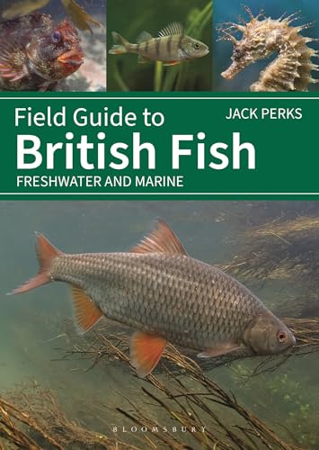 Field Guide to British Fish: Freshwater and Marine (Bloomsbury Naturalist)