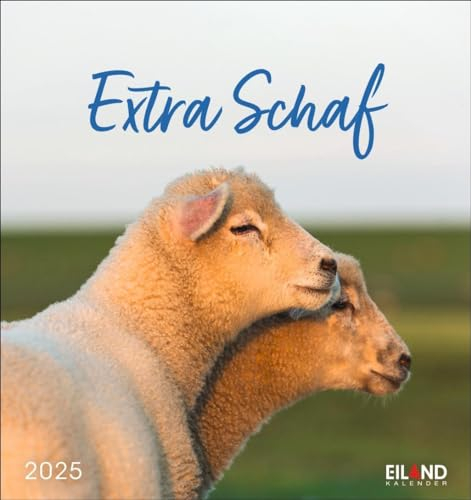 Extra Schaf Postkartenkalender 2025: Ein kleiner Kalender zum Aufstellen und Aufhängen. Süße Schafe in allen Lebenslagen in einem Postkarten-Fotokalender. (Postkartenkalender Eiland)
