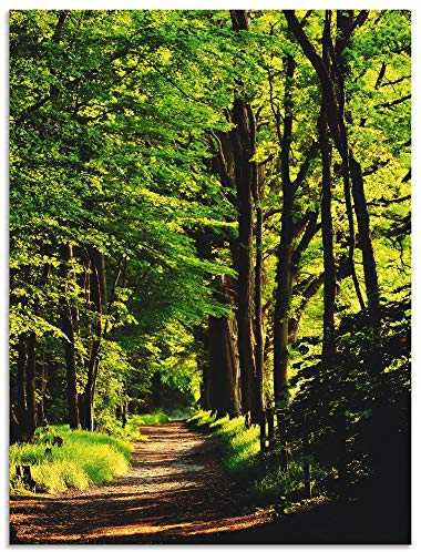 ARTland Wanddeko Wandbild Alu Verbundplatte für Innen & Outdoor Bild 90x120 cm Wald Landschaft Natur Frühling Sonne Bäume Landhaus T1UC