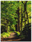 ARTland Wanddeko Wandbild Alu Verbundplatte für Innen & Outdoor Bild 90x120 cm Wald Landschaft Natur Frühling Sonne Bäume Landhaus T1UC