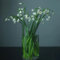 3 pcs märzenbecher zwiebeln kaufen - Leucojum vernum - winterharte pflanzen frühlingsblumen zwiebeln märzenbecher pflanze Knollen seltene pflanzen, blumen balkon zimmer deko blumen