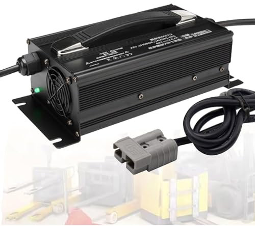 HYDTGZ Chargeur Batterie Chariot Élévateur 12V/24V/36V/48V/60V/72V Chargeur Batterie Plomb, Cric Palette Électrique, Chariot Élévateur Chargeur d'Épurateur Sol Marcher Derrière,24v 30a